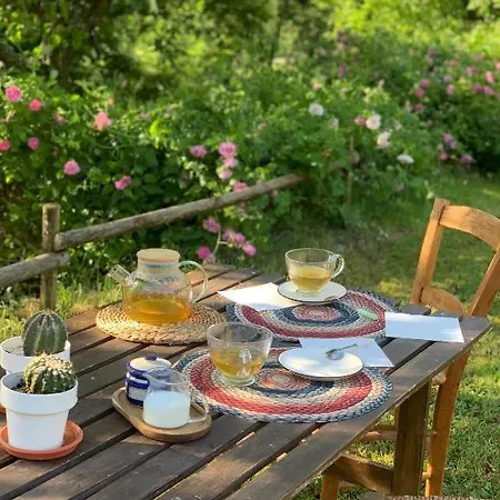 Country house Casa El Estaso *